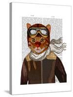 Flying Cat-Fab Funky-Stretched Canvas