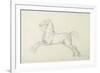 'Flying Childers' Galloping to Left: Bridled But Not Saddled-James Seymour-Framed Giclee Print