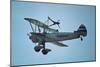 Flying Circus, Bealton, Va, Antique Aircraft, Wingwalking, 2008 (Photo)-Kenneth Garrett-Mounted Giclee Print