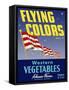 Flying Colors Brand Western Vegetables-null-Framed Stretched Canvas