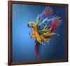 Flying Colours-Sulaiman Almawash-Framed Giclee Print