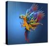 Flying Colours-Sulaiman Almawash-Stretched Canvas
