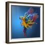 Flying Colours-Sulaiman Almawash-Framed Photographic Print