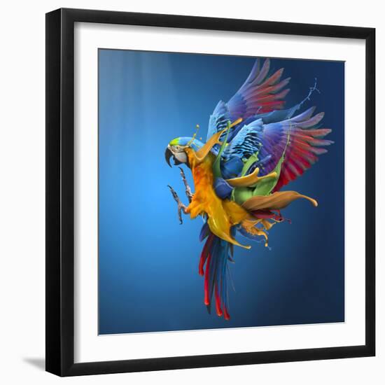 Flying Colours-Sulaiman Almawash-Framed Photographic Print