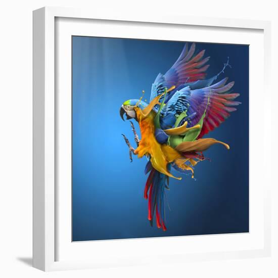 Flying Colours-Sulaiman Almawash-Framed Photographic Print