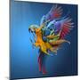 Flying Colours-Sulaiman Almawash-Mounted Photographic Print