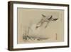 Flying Cranes-null-Framed Art Print