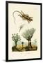 Flying Dragon, 1833-39-null-Framed Giclee Print