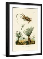 Flying Dragon, 1833-39-null-Framed Giclee Print