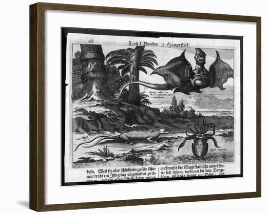 Flying Dragons' were Among the Weird Creatures Reported from the New World by Vespucci-Theodor de Bry-Framed Art Print