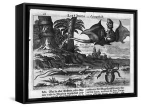 Flying Dragons' were Among the Weird Creatures Reported from the New World by Vespucci-Theodor de Bry-Framed Stretched Canvas