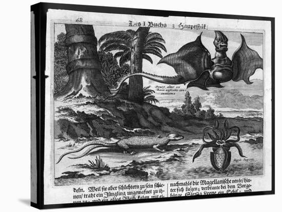 Flying Dragons' were Among the Weird Creatures Reported from the New World by Vespucci-Theodor de Bry-Stretched Canvas