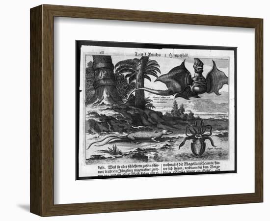 Flying Dragons' were Among the Weird Creatures Reported from the New World by Vespucci-Theodor de Bry-Framed Art Print