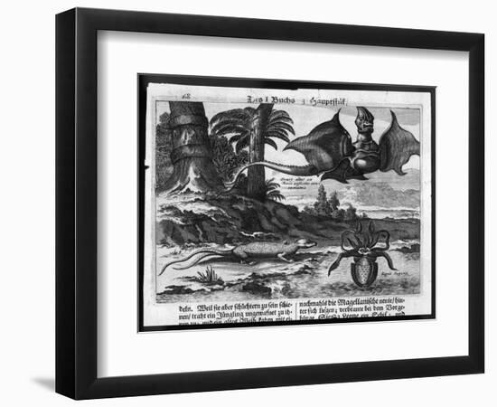 Flying Dragons' were Among the Weird Creatures Reported from the New World by Vespucci-Theodor de Bry-Framed Art Print