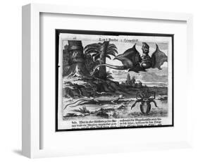 Flying Dragons' were Among the Weird Creatures Reported from the New World by Vespucci-Theodor de Bry-Framed Art Print