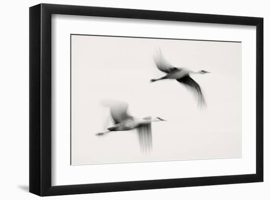 Flying Dreams-null-Framed Art Print