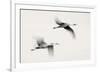 Flying Dreams-null-Framed Art Print