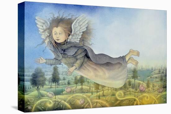 Flying Fairy over Landscape-Wayne Anderson-Stretched Canvas