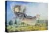 Flying Fairy over Landscape-Wayne Anderson-Stretched Canvas