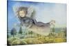 Flying Fairy over Landscape-Wayne Anderson-Stretched Canvas