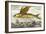 Flying Fish, 17th Century Artwork-Middle Temple Library-Framed Photographic Print