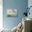 Flying Fish and Tuna Chasing Flying Fish-null-Stretched Canvas displayed on a wall