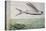 Flying Fish and Tuna Chasing Flying Fish-null-Stretched Canvas
