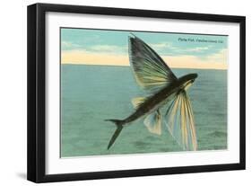 Flying Fish, Catalina, California-null-Framed Art Print