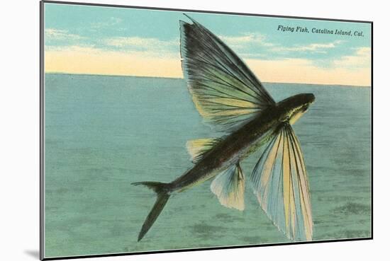 Flying Fish, Catalina, California-null-Mounted Art Print