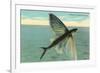Flying Fish, Catalina, California-null-Framed Premium Giclee Print