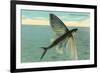 Flying Fish, Catalina, California-null-Framed Premium Giclee Print