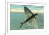 Flying Fish, Catalina, California-null-Framed Art Print