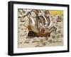 Flying Fish Meet in the Torrid Zone, from "Americae Tertia Pars..."-Theodor de Bry-Framed Giclee Print