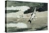 Flying Fish on Lake John-Winslow Homer-Stretched Canvas