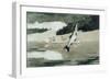 Flying Fish on Lake John-Winslow Homer-Framed Giclee Print