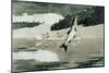 Flying Fish on Lake John-Winslow Homer-Mounted Giclee Print
