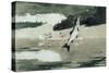 Flying Fish on Lake John-Winslow Homer-Stretched Canvas