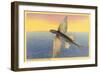 Flying Fish, Santa Catalina, California-null-Framed Art Print