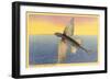 Flying Fish, Santa Catalina, California-null-Framed Art Print