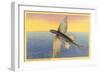 Flying Fish, Santa Catalina, California-null-Framed Art Print