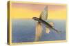 Flying Fish, Santa Catalina, California-null-Stretched Canvas
