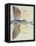 Flying-Fish-John White-Framed Stretched Canvas
