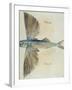 Flying-Fish-John White-Framed Giclee Print