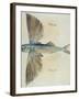 Flying-Fish-John White-Framed Giclee Print