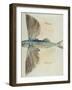 Flying-Fish-John White-Framed Giclee Print