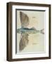 Flying-Fish-John White-Framed Giclee Print