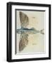 Flying-Fish-John White-Framed Giclee Print