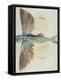 Flying-Fish-John White-Framed Stretched Canvas