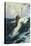 Flying Fish-Herbert James Draper-Stretched Canvas