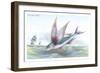 Flying Fish-Robert Hamilton-Framed Art Print